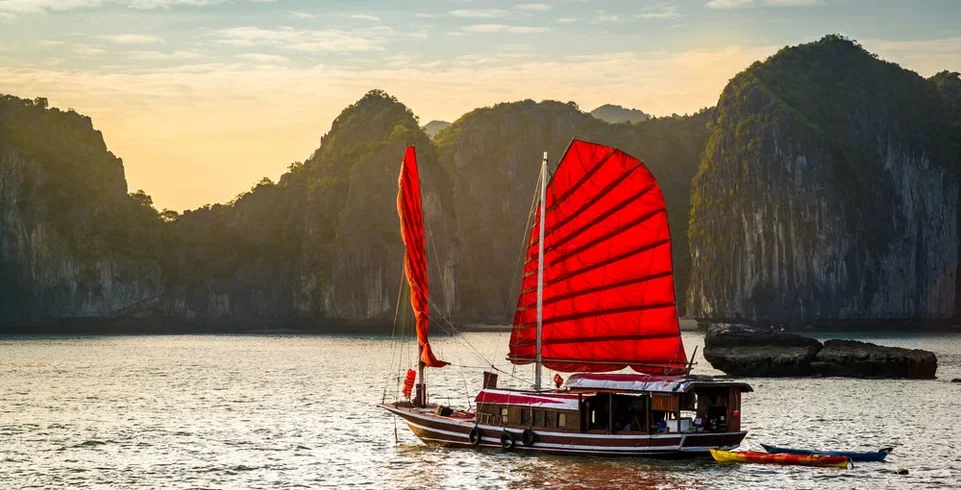 f359wi3vmt178ziwt861gbm41suy_halong junk