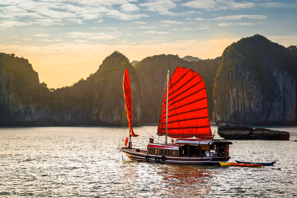 f359wi3vmt178ziwt861gbm41suy_halong junk